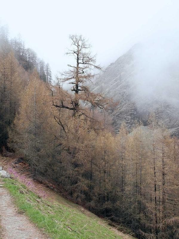 The Nairobi Innovation Lab